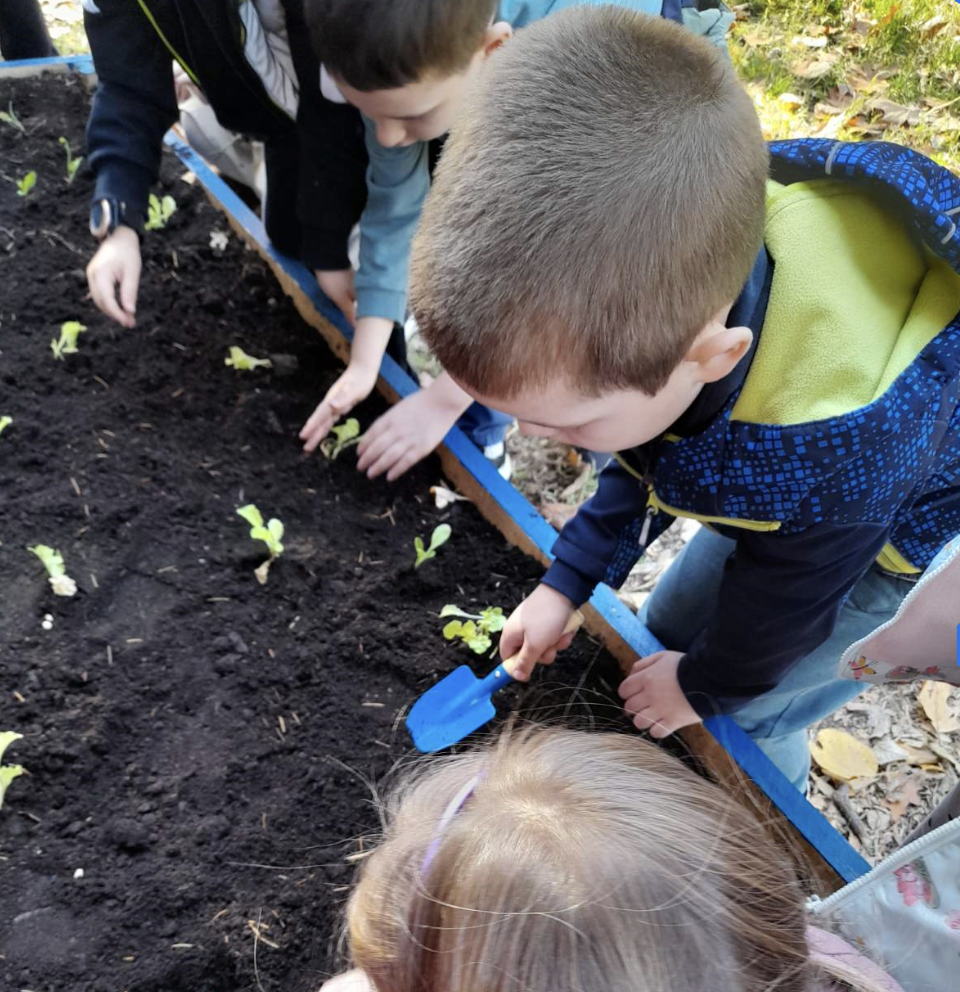 Little Green Fingers Newsletter — August 2026