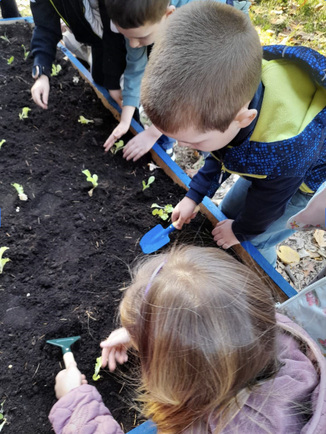 Children working together in a school garden