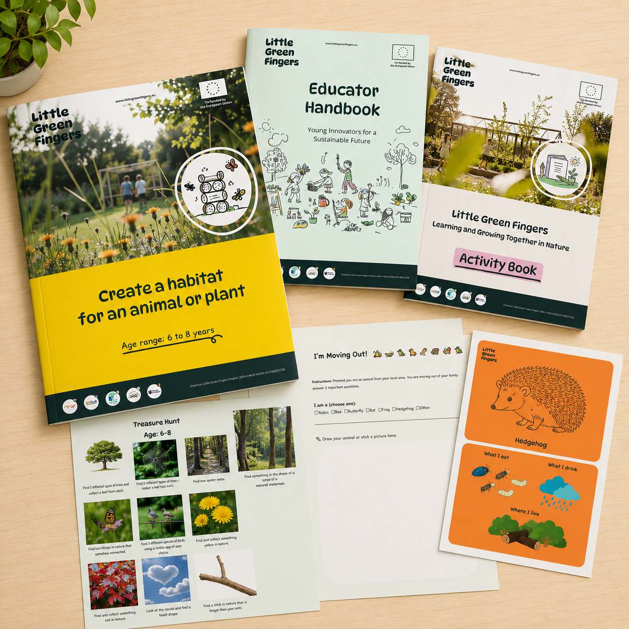 Download Curriculum